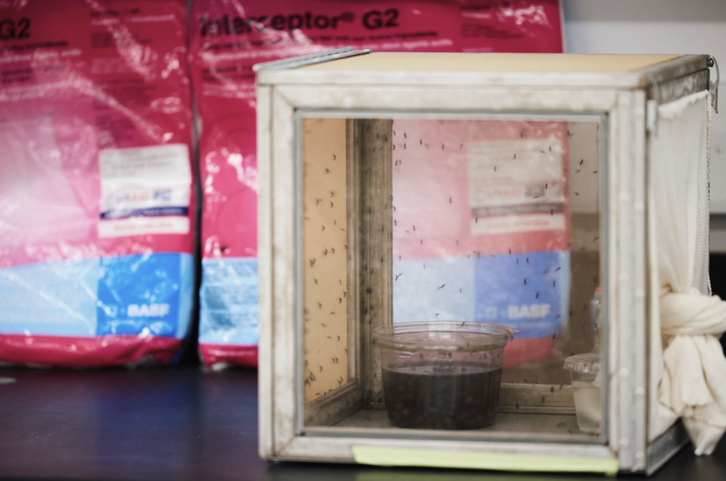 Malaria net